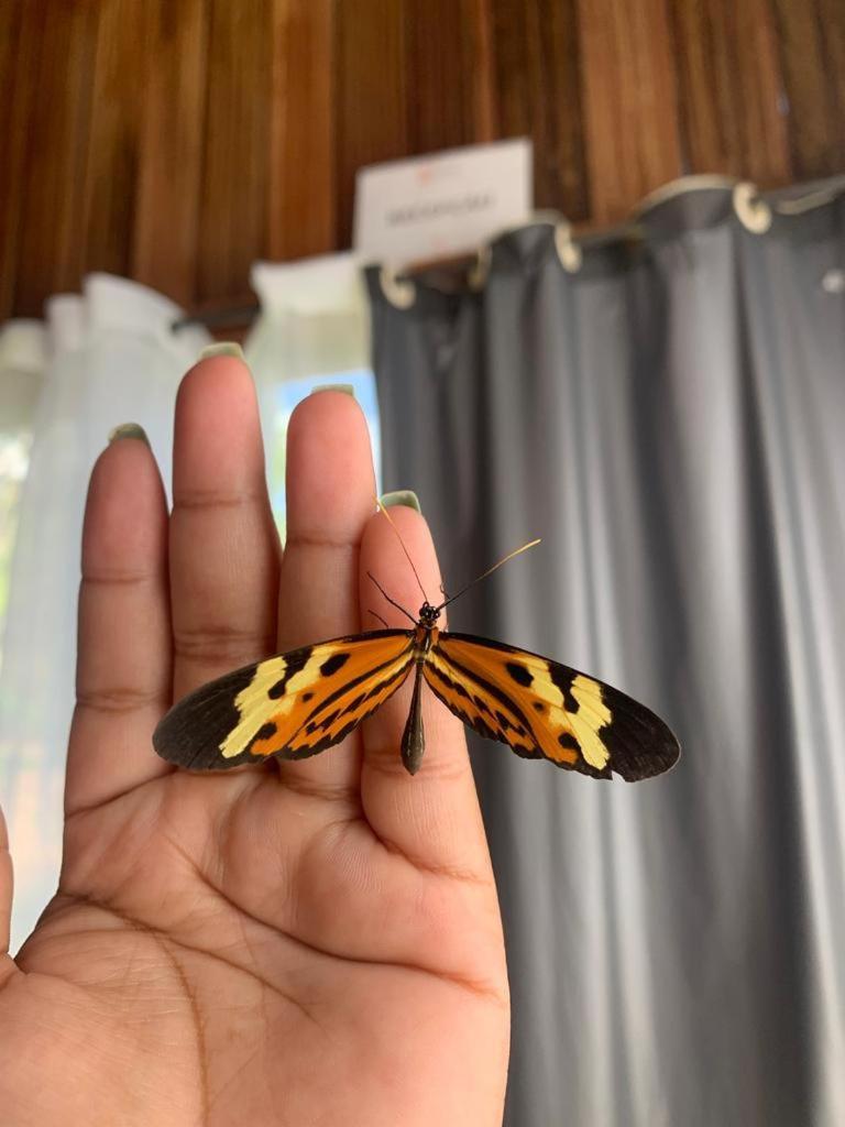 Chapada Dos Veadeiros - Que Hospedagem, Seu Refugio Natural - Estalagem Alto Paraíso de Goiás