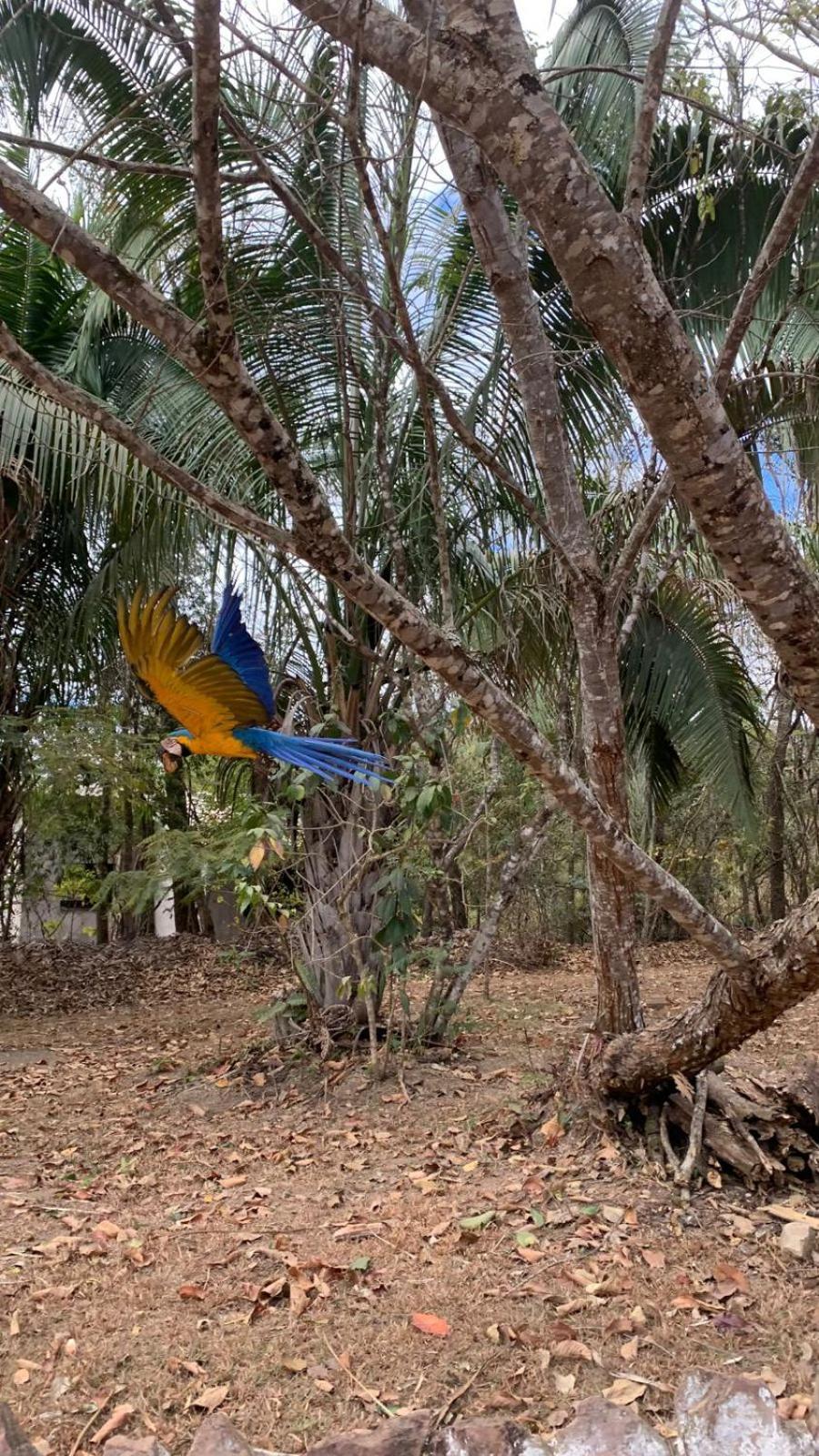 Chapada Dos Veadeiros - Que Hospedagem, Seu Refugio Natural - Estalagem