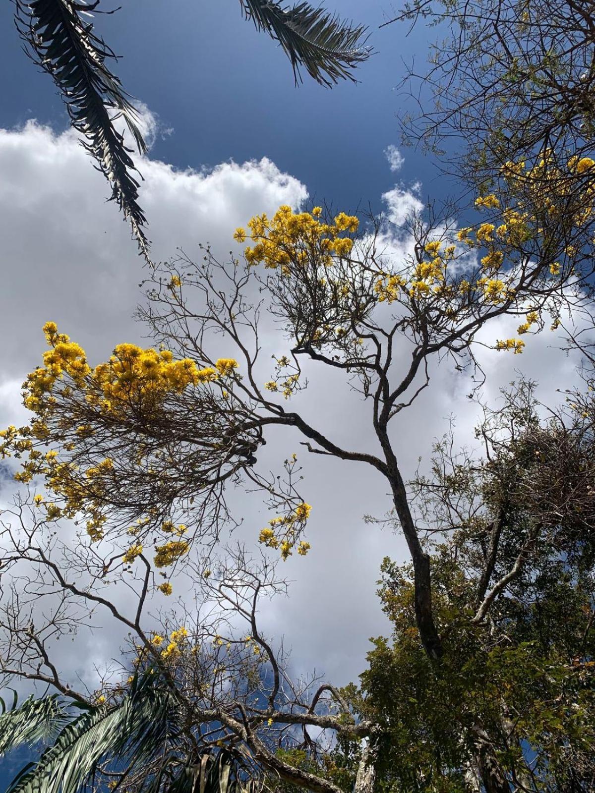 E Caminho De Santiago Estalagem Alto Paraíso de Goiás